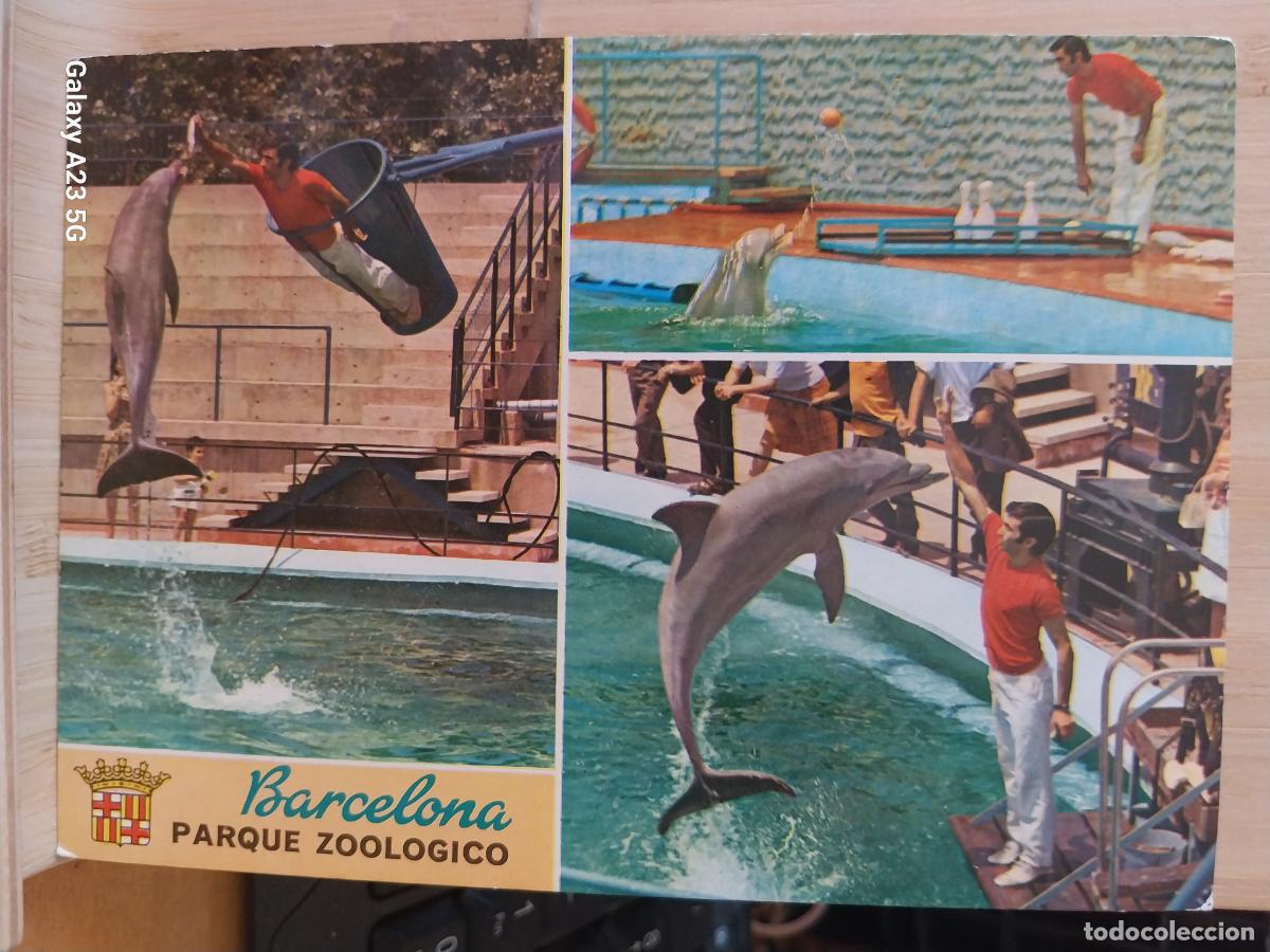 Postales: ZOO BARCELONA PARQUE ZOOLOGICO ED CYP 50303 ACUARIUM SC ORIGINAL DELFINES EJERCICIOS