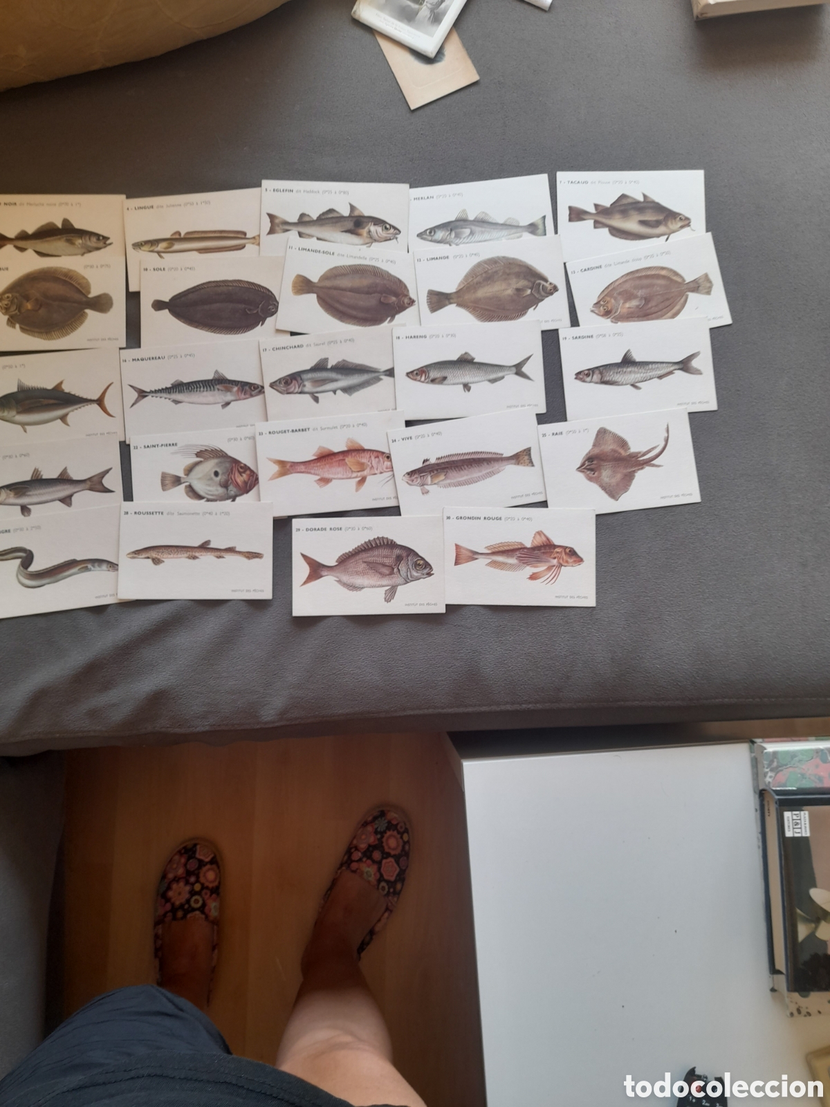 Postales: Postales vintage del institut des p&ecirc;ches d&eacute;cada 1950