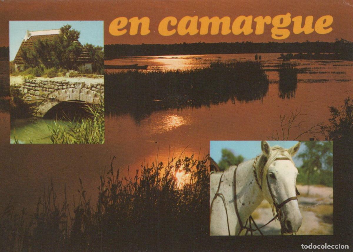 Postales: France Camargue Paysage Avec Cheval Blanc Pont et Coucher de Soleil *YAE512