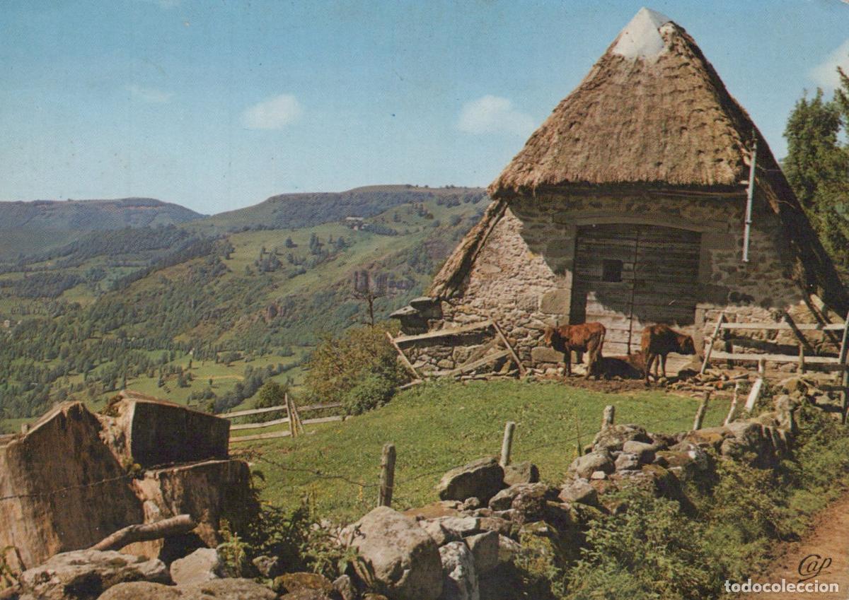 Postales: France Auvergne Vieux Buron Toit Chaume Paysage Montagne Vaches Unposted *YAE631