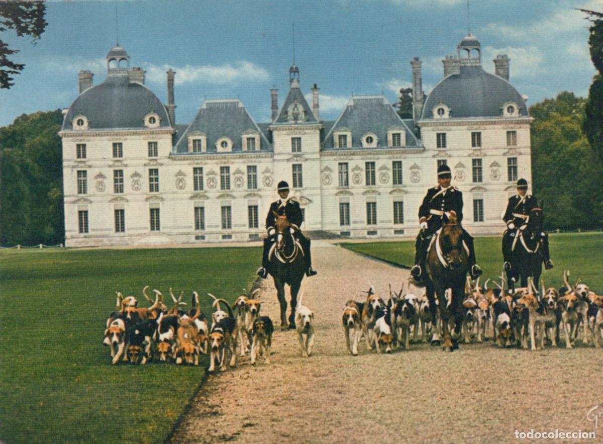 Postales: France Cheverny Ch&acirc;teau Chasse &Agrave; Courre Cavaliers Chiens Post&eacute;e *YAE979