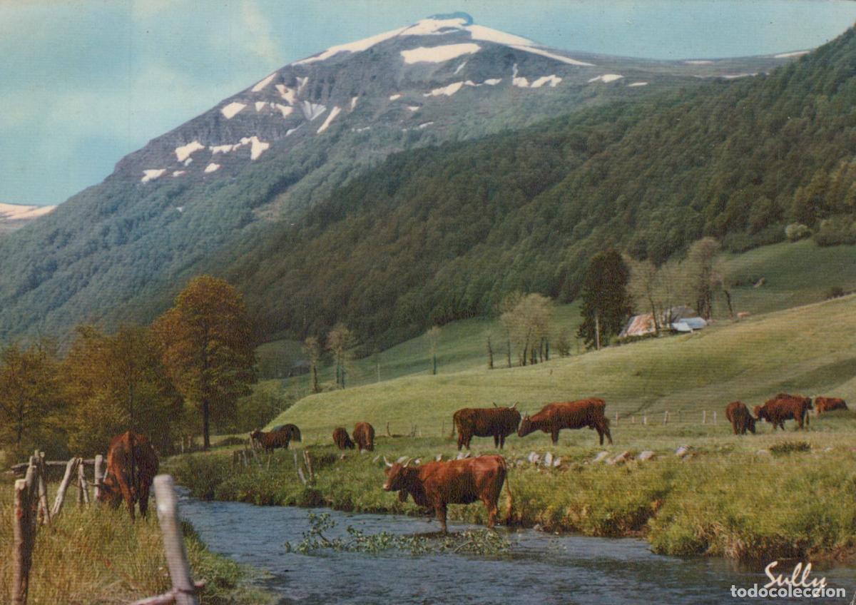 Postales: France Bort les Orgues Auvergne Paysage de Montagne Avec Vaches Envoy&eacute;e *YAF367