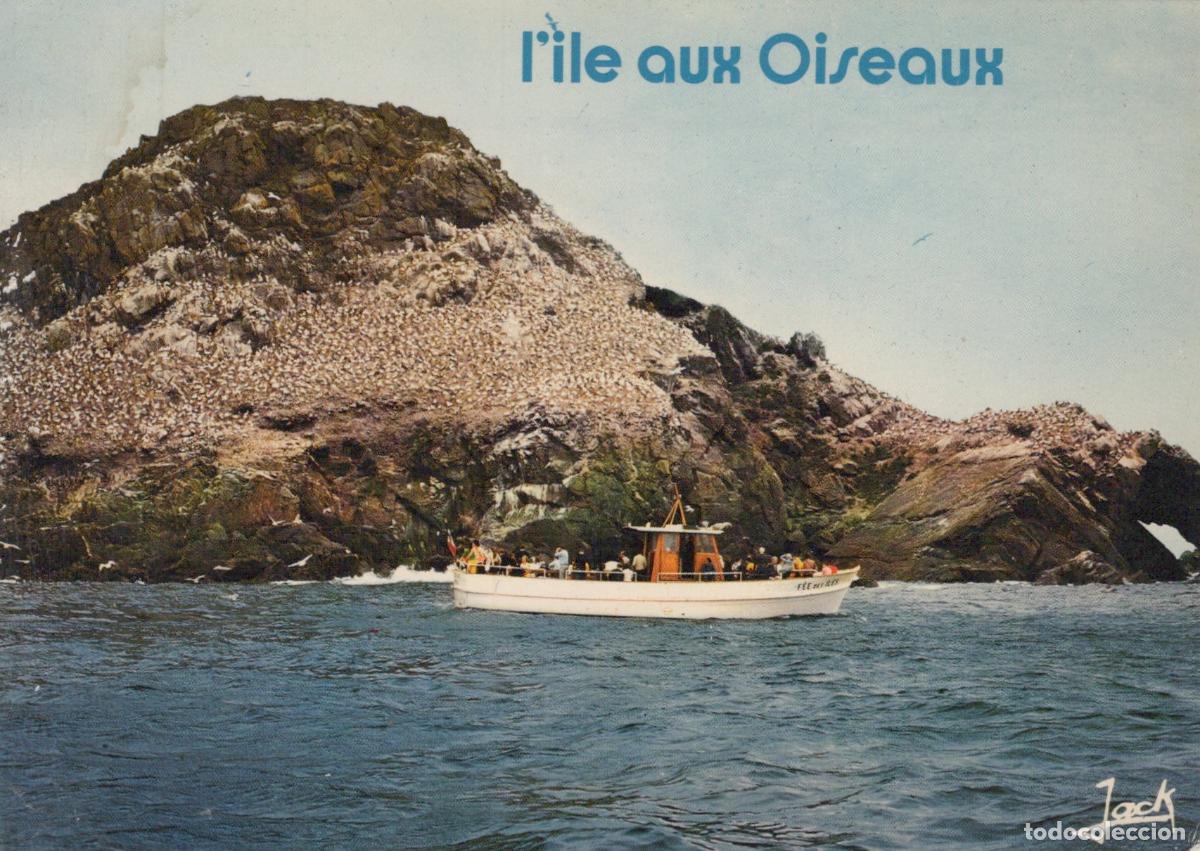 Postales: France Perros Guirec Bretagne &Icirc;le Rouzic Faune Oiseaux Bateau *YAF872