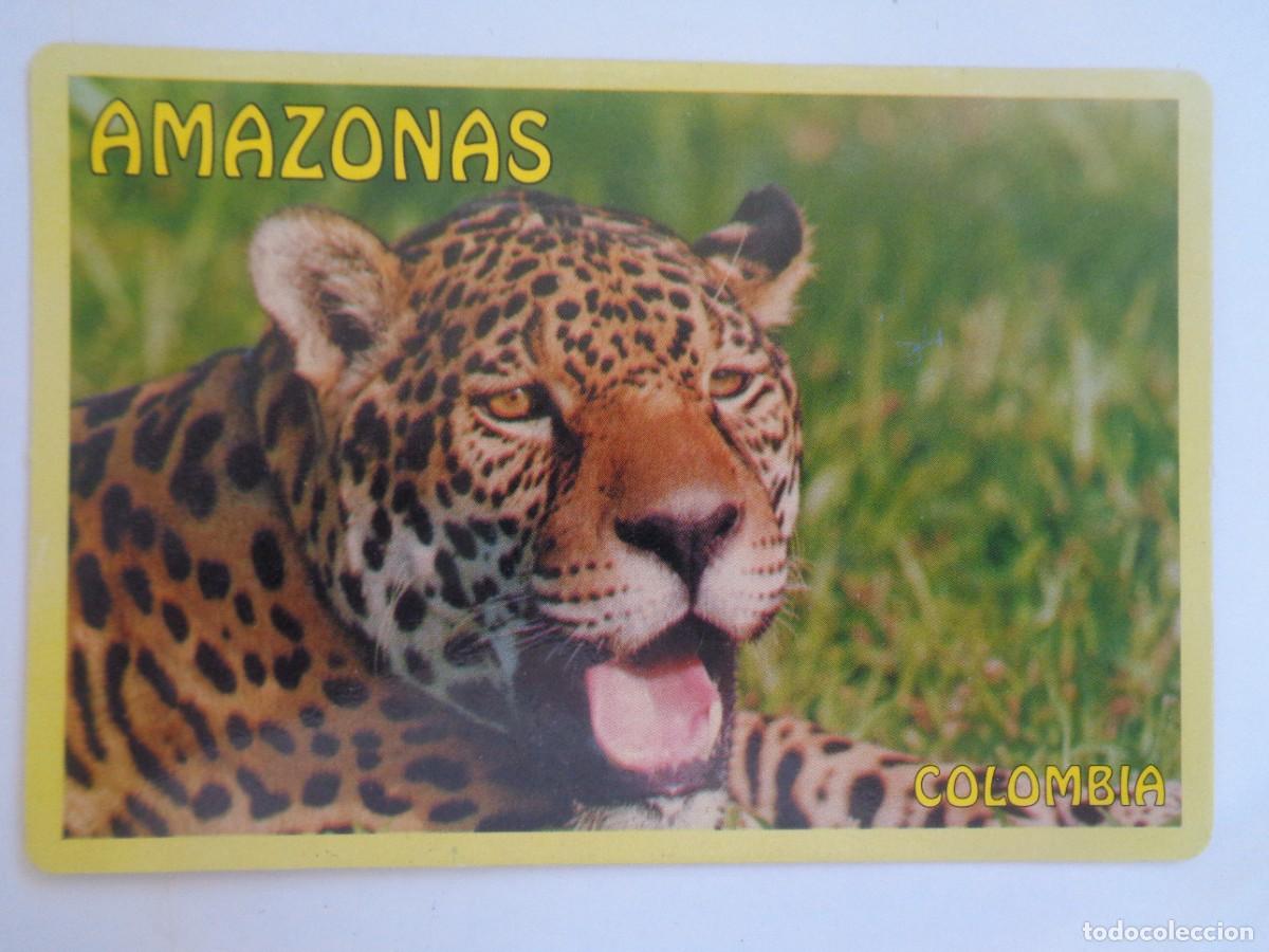 Postales: POSTAL DE COLOMBIA - AMAZONAS : TIGRE MARIPOSO