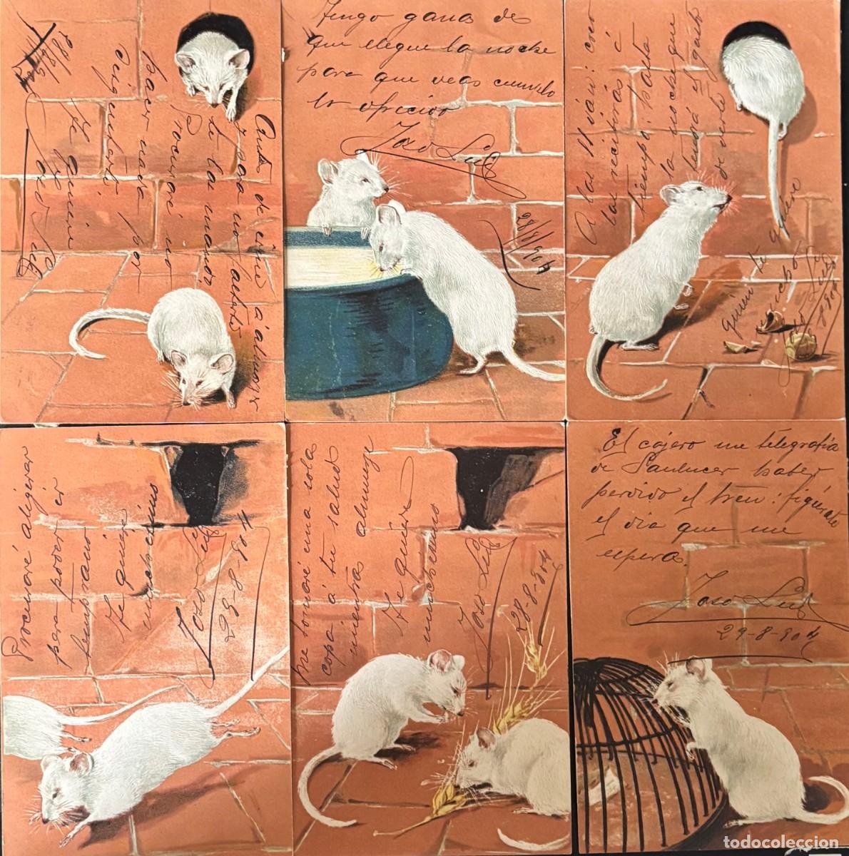 Postales: COLECCI&Oacute;N DE 6 POSTALES DE RATONES DE 1904. P-ANI-098