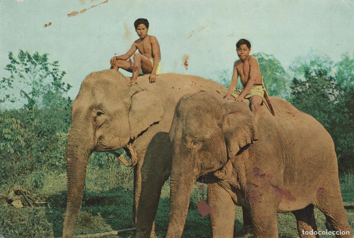Postales: India Dibrugarh Elephants With Mahouts Catholic Mission *YAM635