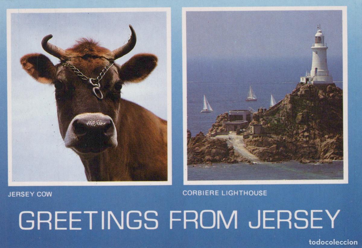 Postales: United Kingdom Jersey Cow Corbiere Lighthouse Greetings From Unposted *YAP238