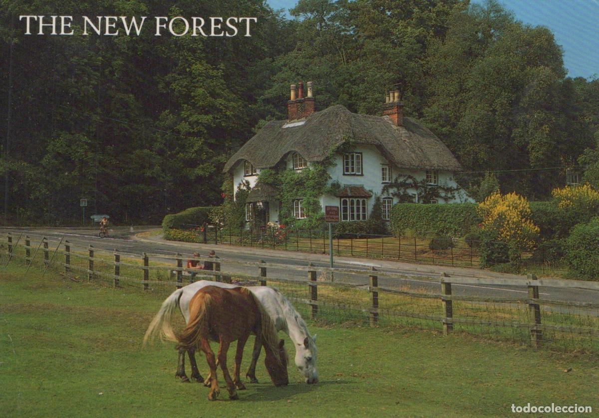 Postales: United Kingdom Lyndhurst Cottage At Swan Green New Forest With Two *YAP563