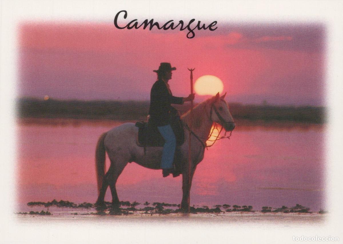 Postales: France Saint Aygulf Camargue Cowboy On Horseback At Sunset Pink Unposted *YAP960