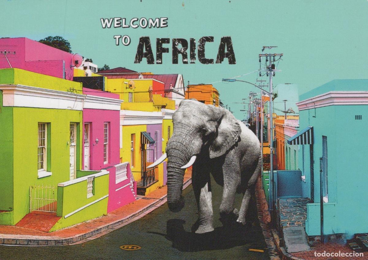 Postales: South Africa Cape Town Welcome To Africa Elephant On Street With *YAV878