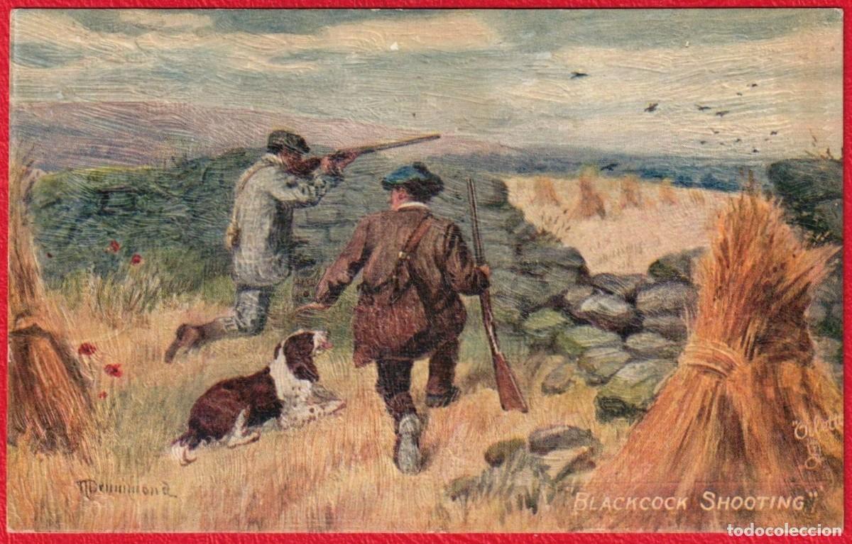 Postales: Inglaterra England Blackcock Shooting Caza del Urogallo Tuck's Post Card Postal Antigua Coleccionabl