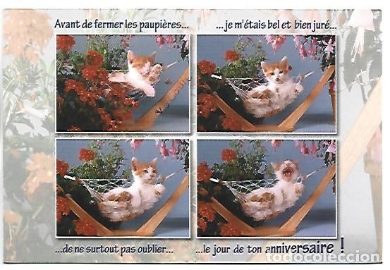 Postales: LA VIE EST BELLE !!.- GATO EN HAMACA