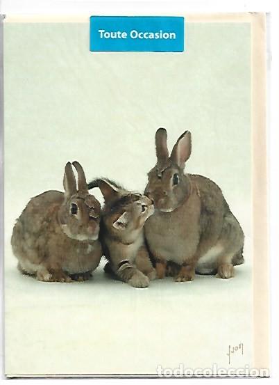 Postales: PAREJA DE CONEJOS CON GATO.- (FELICITACION)