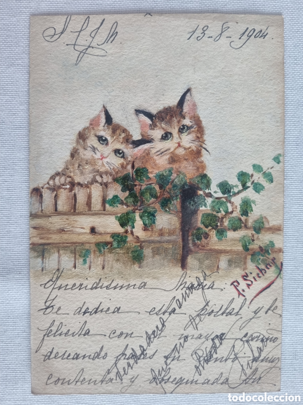 Postales: Postal pintada gatos 1904