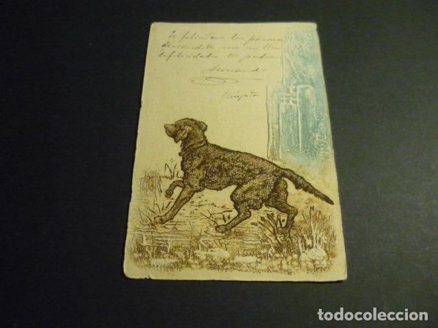 Postales: PERRO POSTAL EN RELIEVE