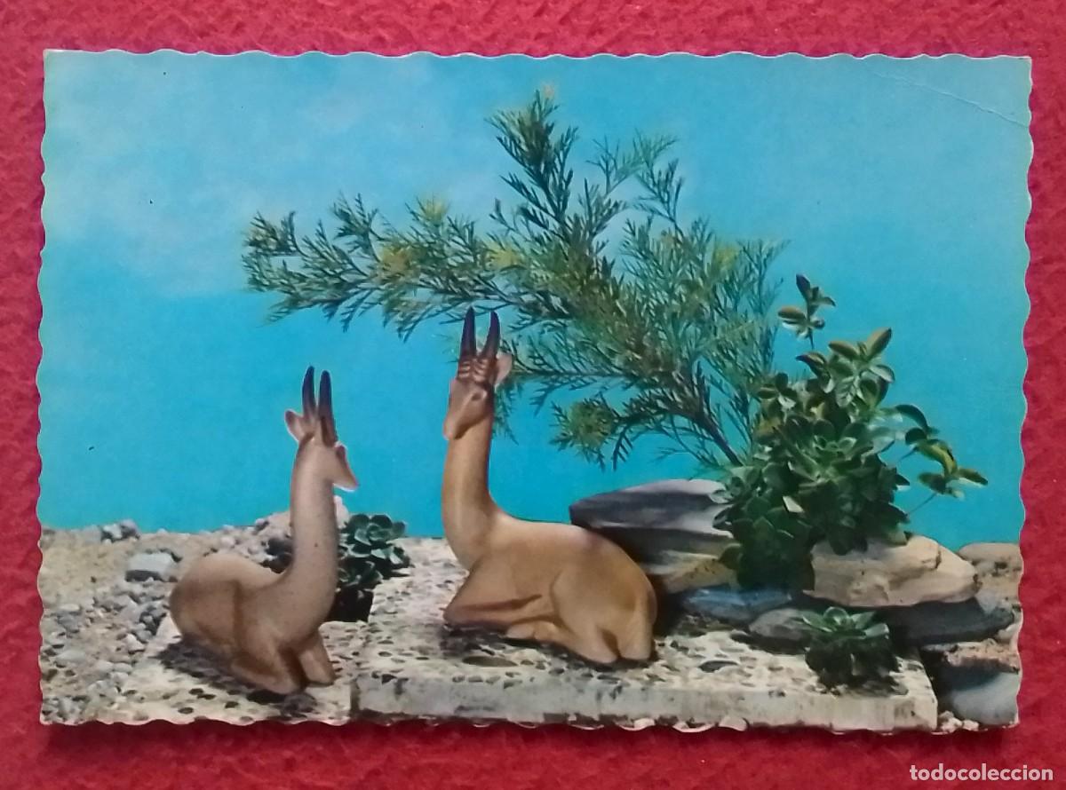 Postales: ANTIGUA POSTAL POST CARD CIERVOS CERF DEER CERVATILLOS O SIMIL..C. Y Z. 6448 CARTE POSTALE POSTKARTE