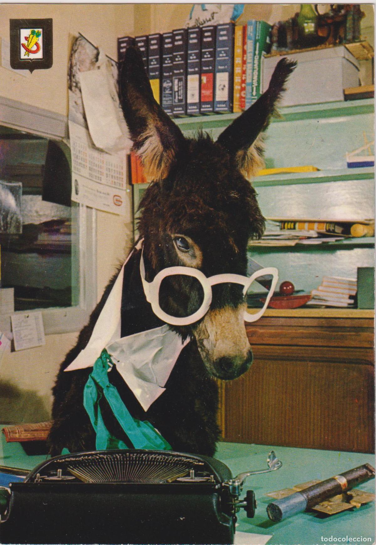 Postales: SERIE ANIMALES C&Oacute;MICOS N&ordm;21 - EDICIONES FISA - ESCRITA
