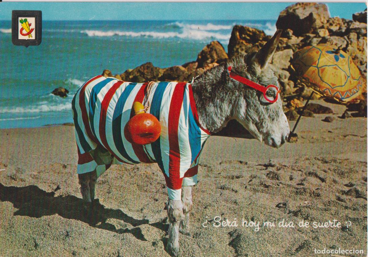 Postales: SERIE ANIMALES C&Oacute;MICOS N&ordm;6 - EDICIONES FISA - ESCRITA