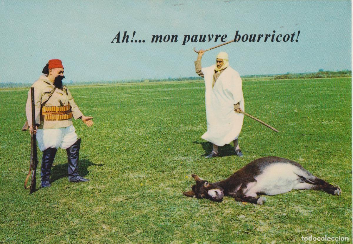 Postales: TARTARIN DE TARASCON EN AFRIQUE. &rdquo;AH... MON PAUVRE BOURRICOT &ndash; GEORGES ROUX X4 &ndash; S/C