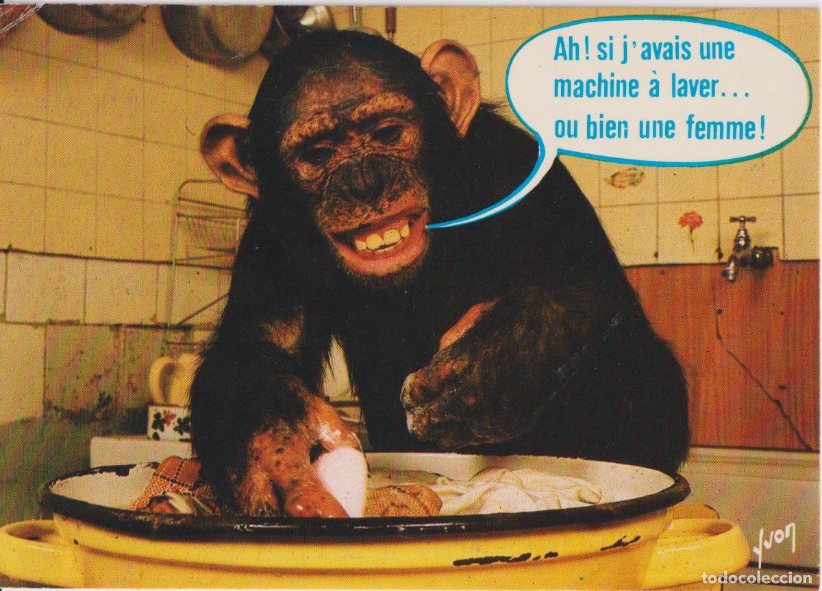 Postales: POSTAL HUMORISTICA &ndash; AH SI TUVIERA UNA LAVADORA! O UNA MUJER! - ED.YVON - ESCRITA