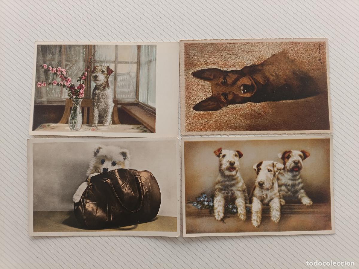 Postales: Perros. 4 postales antiguas
