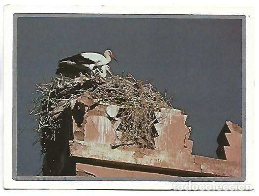 Postales: &rdquo; QUAND LES CIGOGNES SONT DE RETOR....&rdquo;