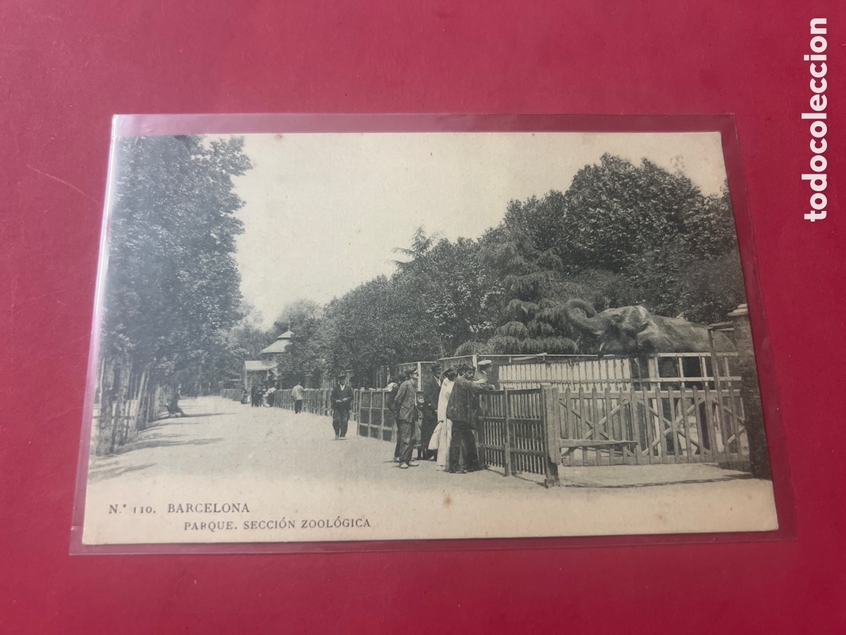 Postales: L860/1. POSTAL, N.&ordm; 110. BARCELONA - PARQUE SECCI&Oacute;N ZOOLOGICA