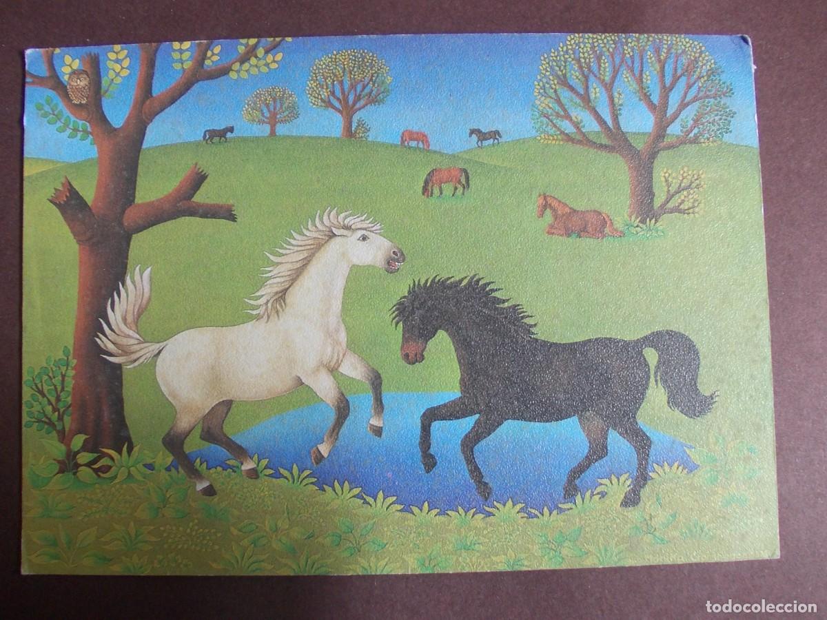 Postales: Postal Spielende Pferde Playing Horses Monika Cronshagen escena ecuestre caballos campestre