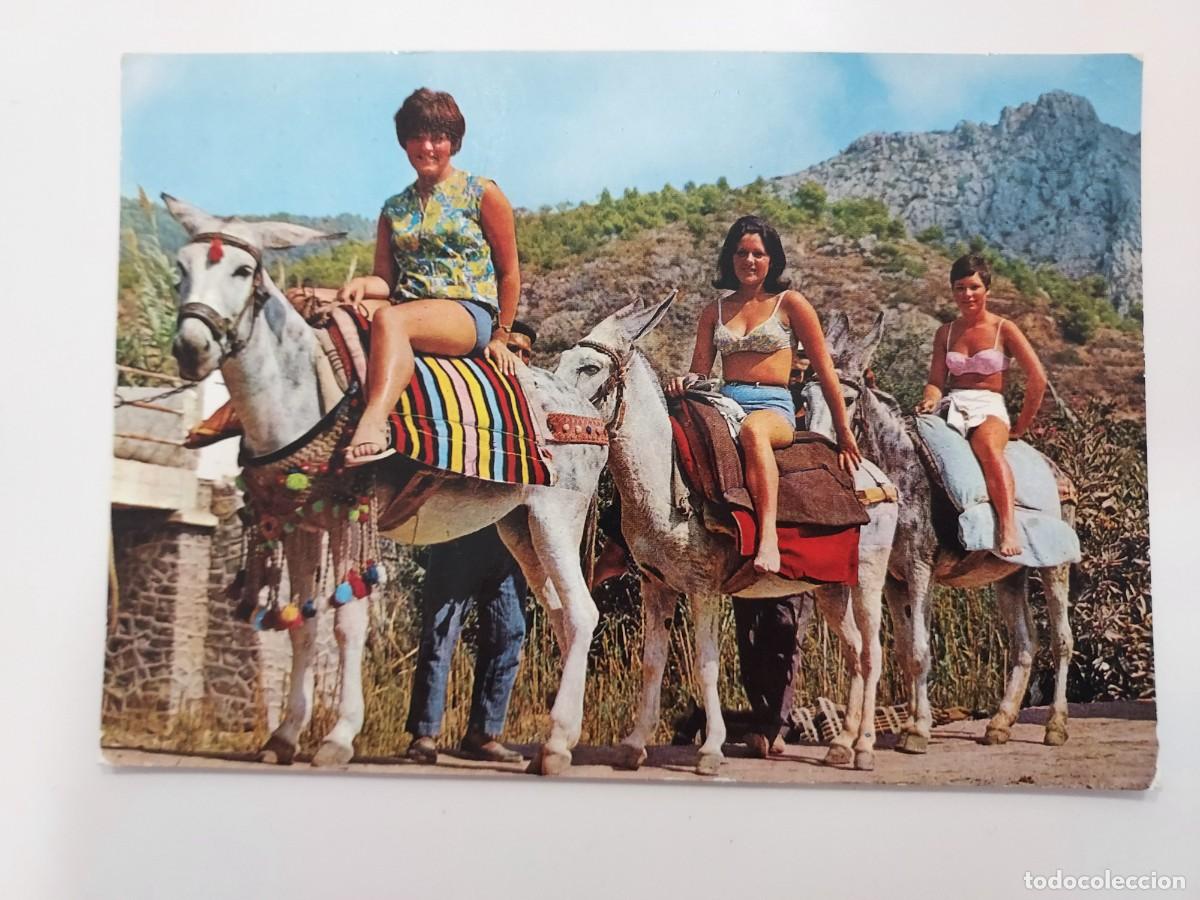 Postales: POSTAL BURROS TAXI. 1969. ESCRITA. Turistas, tipica, vintage