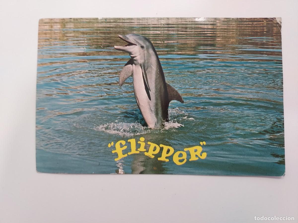 Postales: POSTAL DELFIN FLIPPER. CIRCULADA USA 1969. MIAMI SEAQUARIUM