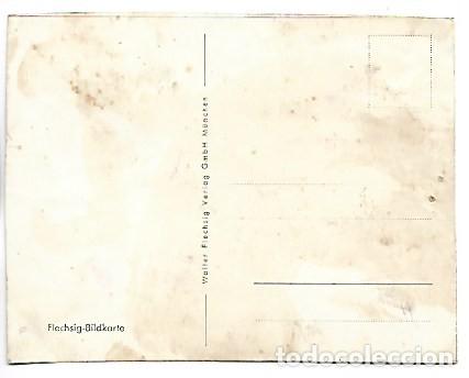 Postales: LORO - CACATUA.- FLECHSIG-BILDKARTE - Foto 2