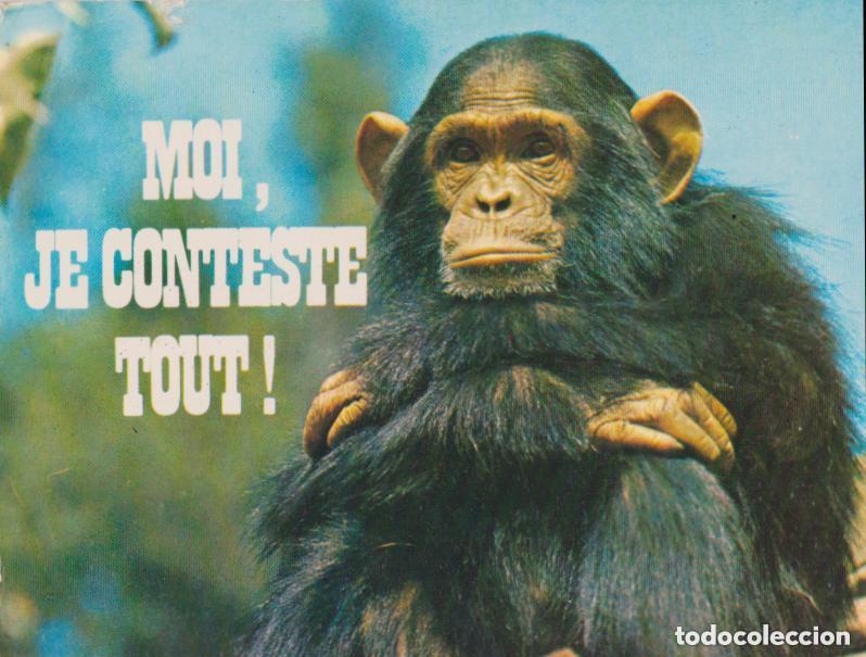 Postales: LOTE DE 30 POSTALES - TEM&Aacute;TICA: ANIMALES - SIN CIRCULAR - Foto 9