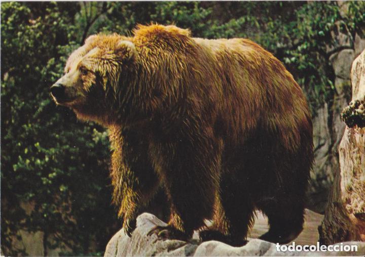 Postales: LOTE DE 30 POSTALES - TEM&Aacute;TICA: ANIMALES - SIN CIRCULAR - Foto 14