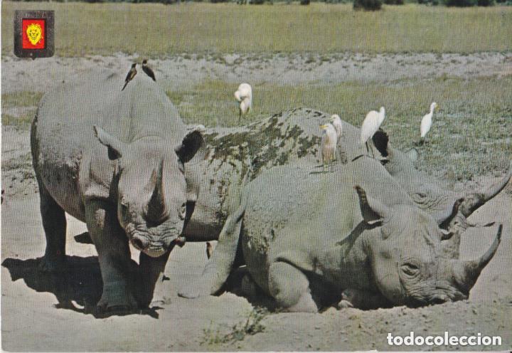 Postales: LOTE DE 30 POSTALES - TEM&Aacute;TICA: ANIMALES - SIN CIRCULAR - Foto 29