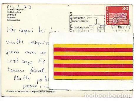 Postales: SCIURUS VULGARIS - SQUIRRELS - ARDILLAS - Foto 2