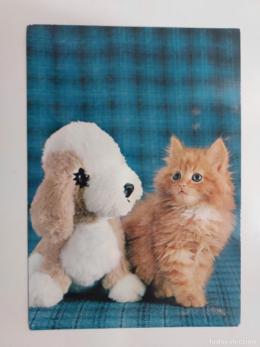 Cartoline: POSTAL GATO Y PELUCHE. SIN CIRCULAR. 1975