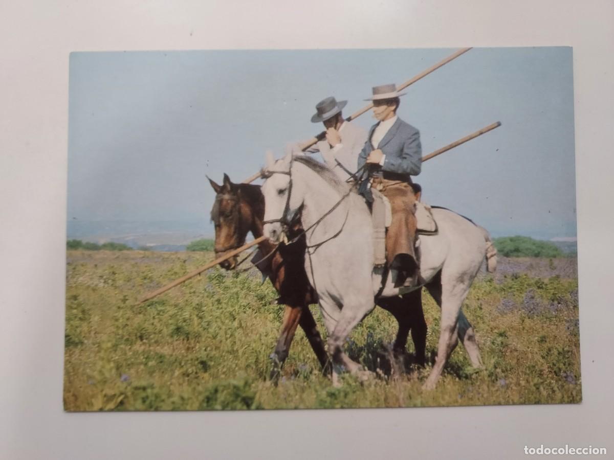 Postcards: POSTAL EL CABALLO EN ANDALUCIA. SIN CIRCULAR. FOTO ENRIQUE DE YSASI. 1980
