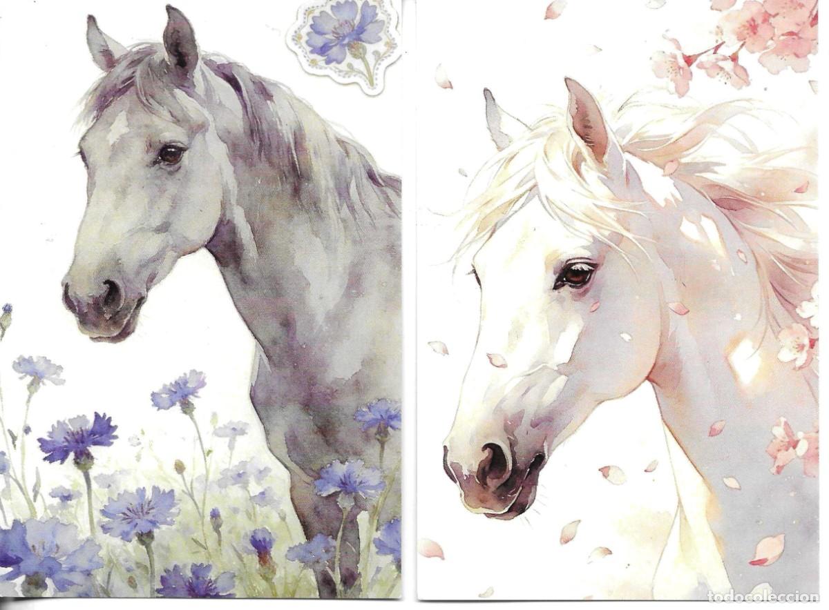Cartes Postales: &rdquo;Caballo &rdquo; Lote de 4 postales modernas ilustradas. 10 x 15. Hechas en China