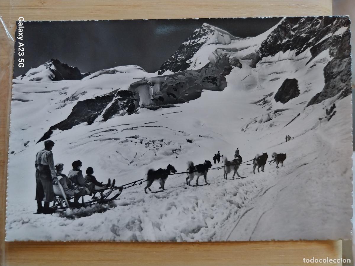 Postales: TRINEO DE PERROS MONTA&Ntilde;AS JUNGFRAUJOCH POLAR HUNDE ED SARTORI FILS 1504 ESCRITA A&Ntilde;O 1959