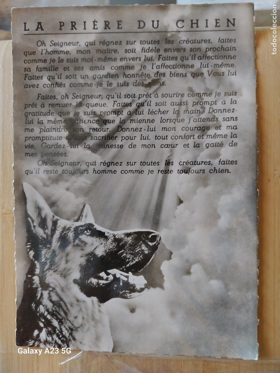 Postales: ORACION DEL PERRO LA PRIERE DU CHIEN ED SARTORI FILS 1504 ESCRITA A&Ntilde;OS 50
