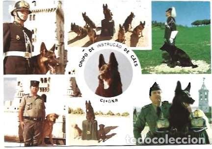 Postales: Portugal ++ & Postal, CI-G.N.R, Grupo de Adiestramiento Canino, Multidisciplinario, Ed. G.N.R (3977