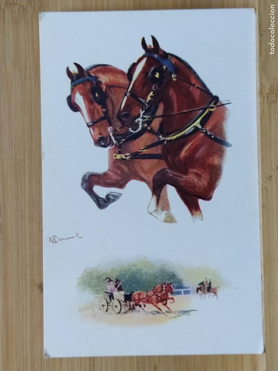 Postales: CABALLOS -POSTAL ANTIGUA-(116.998) - Foto 1