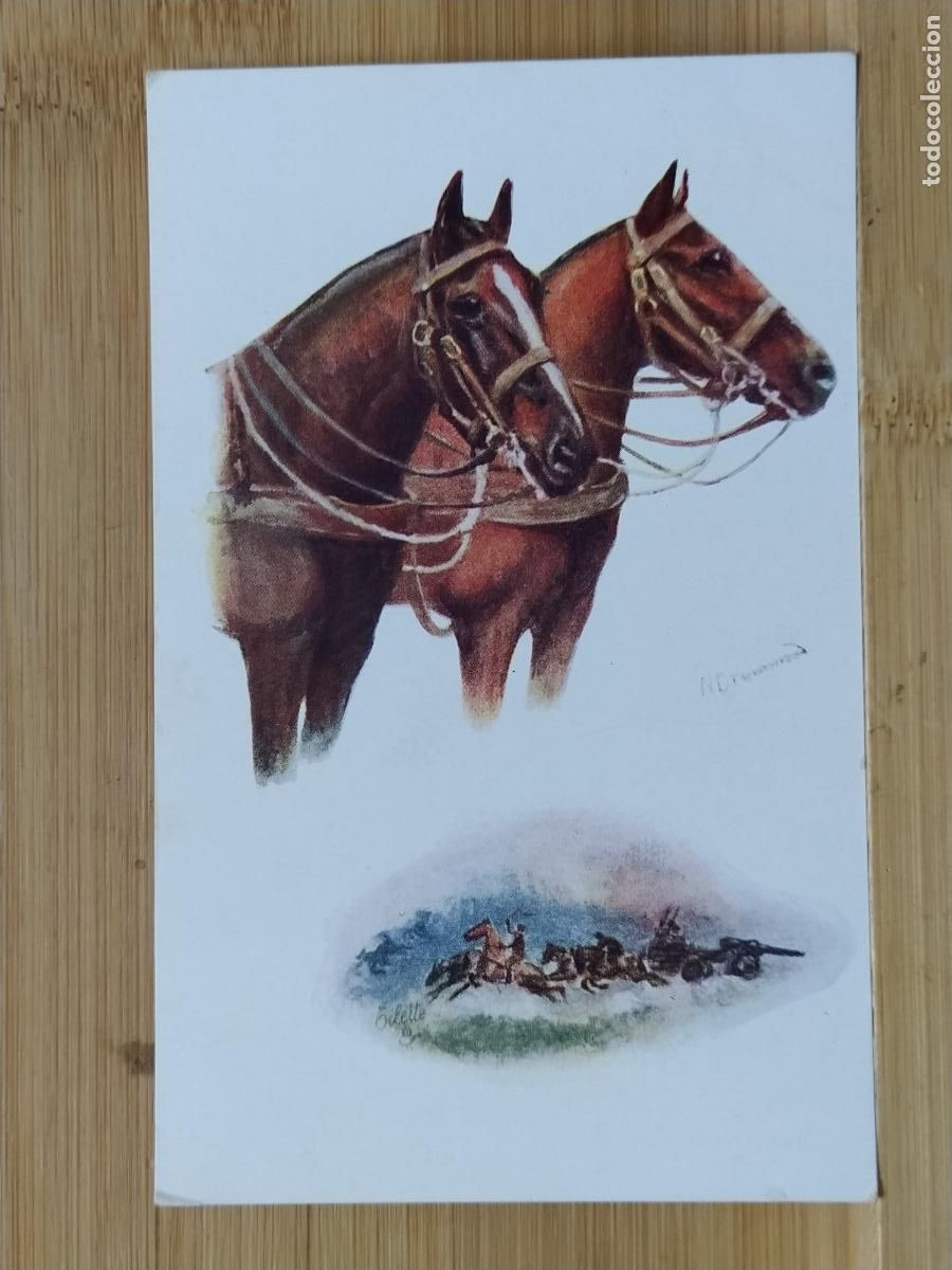 Postales: CABALLOS -POSTAL ANTIGUA-(116.999)