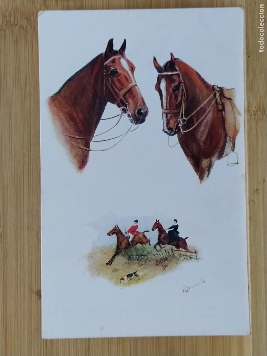 Postales: CABALLOS -POSTAL ANTIGUA-(117.000) - Foto 1