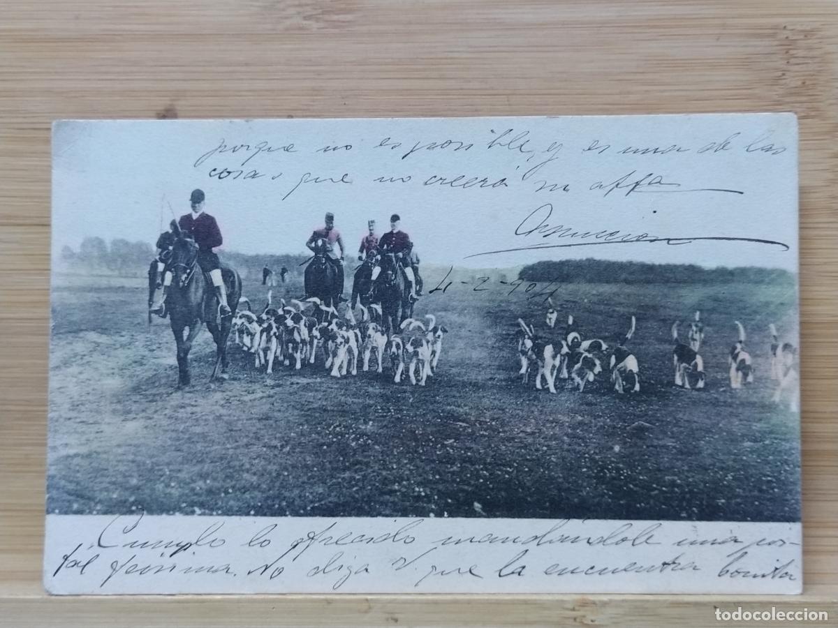 Postales: MILITARES CABALLOS Y PERROS -POSTAL ANTIGUA-(117.002)