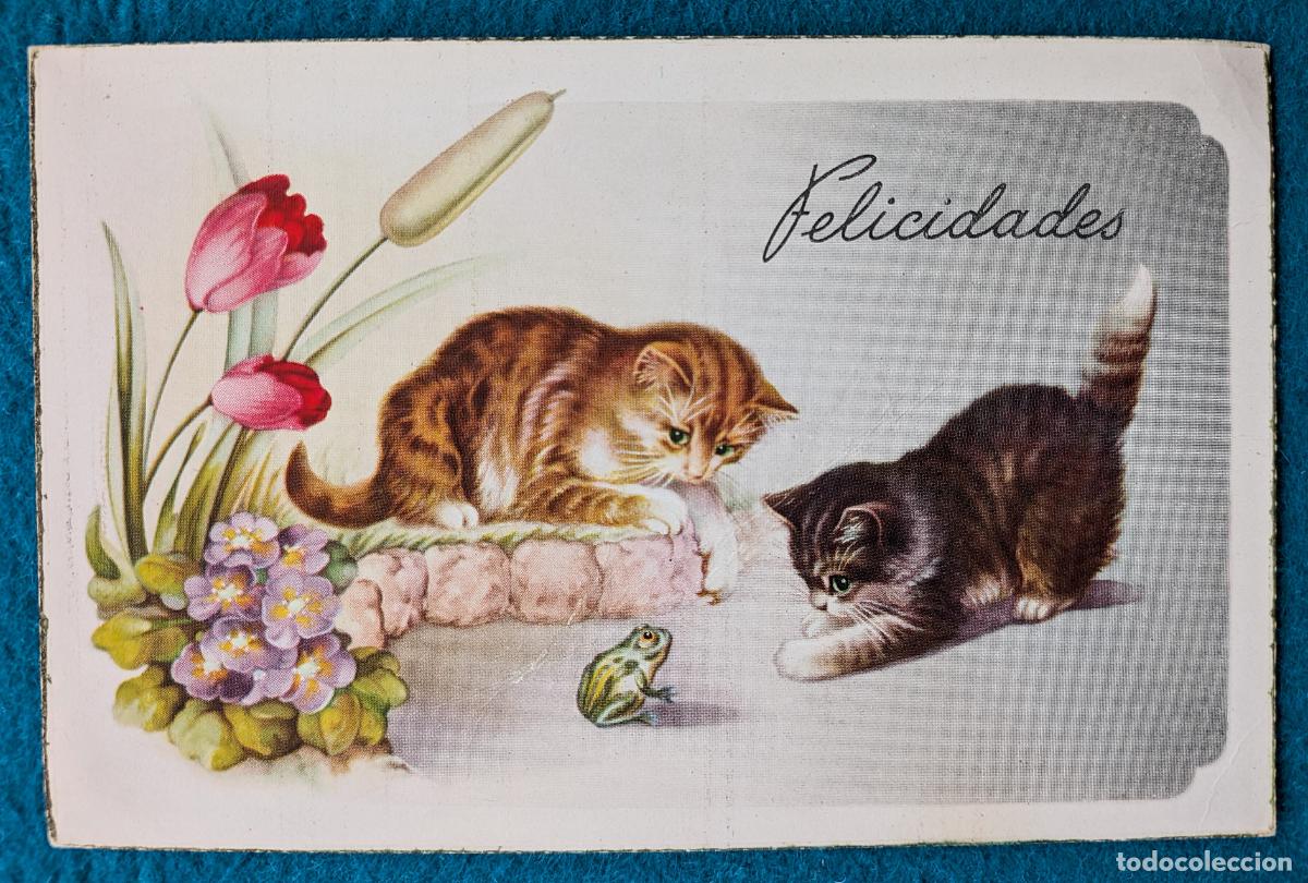 Postkarten: RW POSTAL FELICITACION GATOS GATITOS FELICIDADES P2094