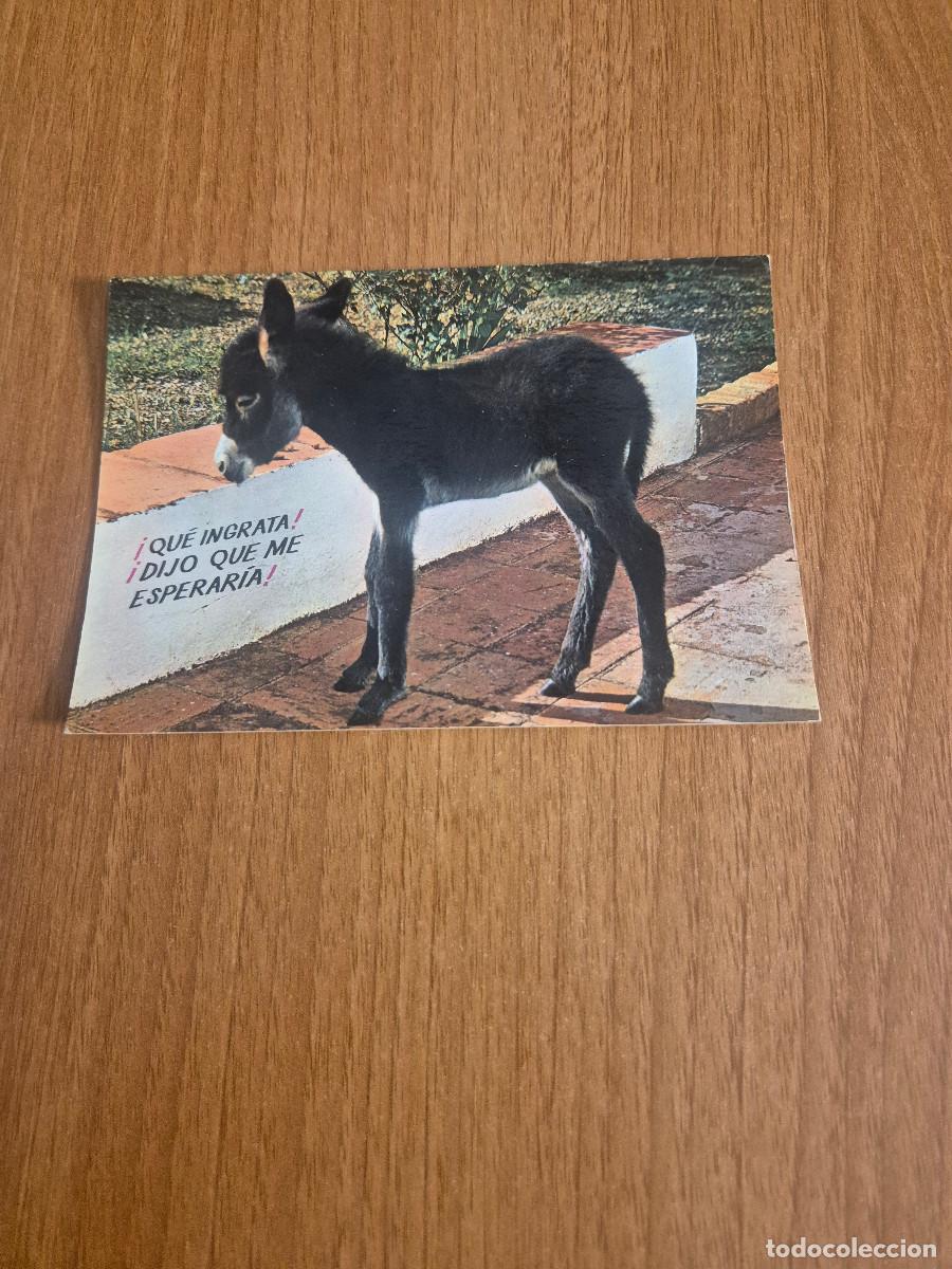 Postales: POSTAL ESPA&Ntilde;A ES DIFERENTE QUE INGRATA DIJO QUE ME ESPERARIA ESCRITA.