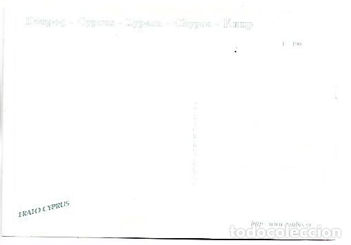 Postales: DELFIN - DOLPHIN.- CYPRUS - Foto 2