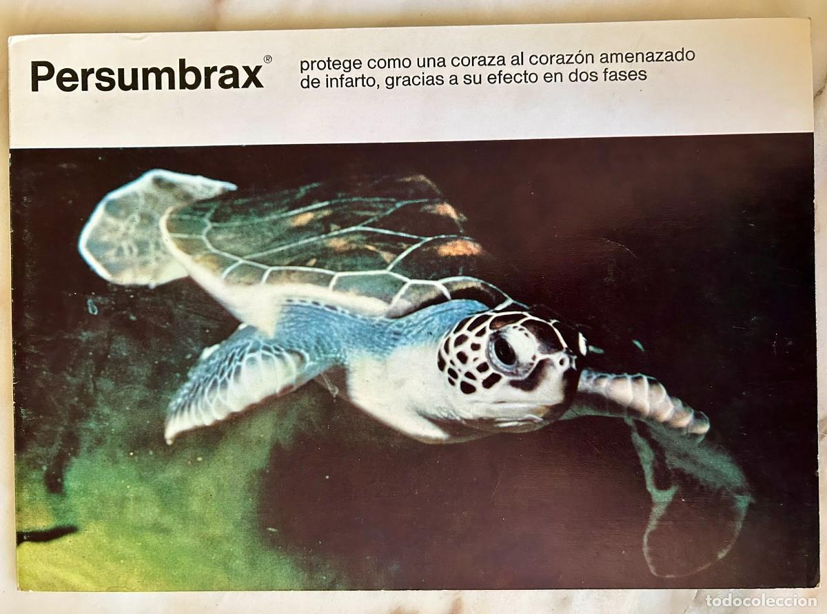 Postales: TORTUGA CAREY - ERETMOCHELYS IMBRICATA - D&Iacute;PTICO PUBLICITARIO DE BOEHRINGER INGELHEIM 1970