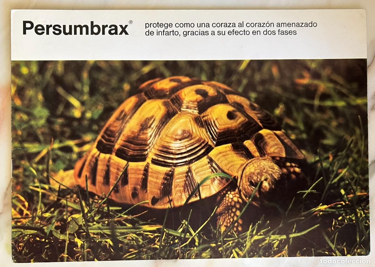 Postales: TORTUGA MEDITERR&Aacute;NEA - TESTUDO HERMANNI - D&Iacute;PTICO PUBLICITARIO DE BOEHRINGER INGELHEIM 1970